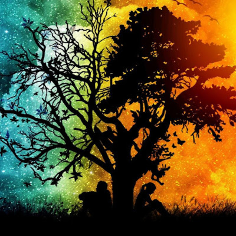 Meet your Posher, Harley